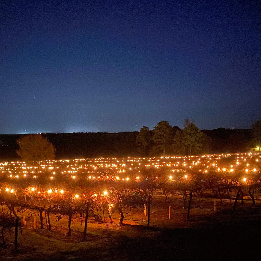VIP Table - Lighting of the Vines 2025