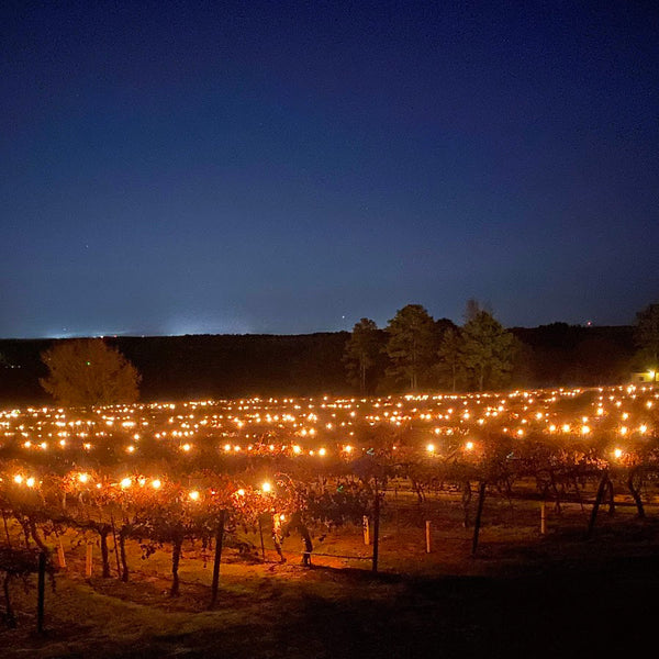 VIP Table - Lighting of the Vines 2025